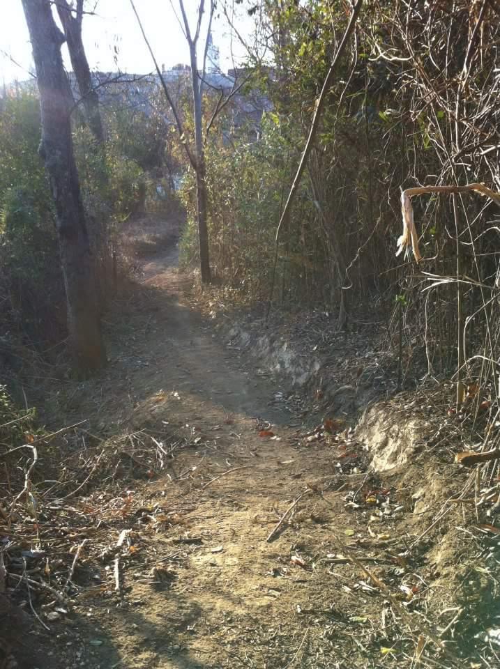 A narrow dirt path winding through a wooded area, surrounded by dense vegetation and small trees. The path is partially illuminated by sunlight, with scattered leaves and twigs along the ground. Low Hollow mountain bike trail.