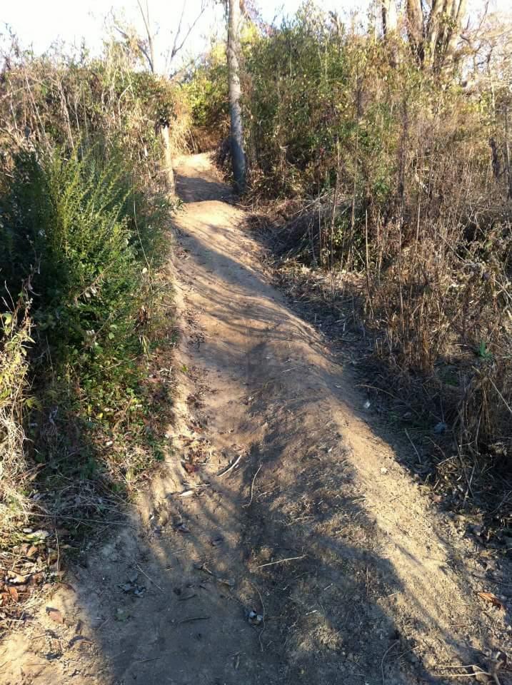 A narrow dirt path winding through a wooded area, bordered by dense vegetation and trees. The path is surrounded by dry grass and weeds, with sunlight casting shadows along the trail. Low Hollow mountain bike trail.