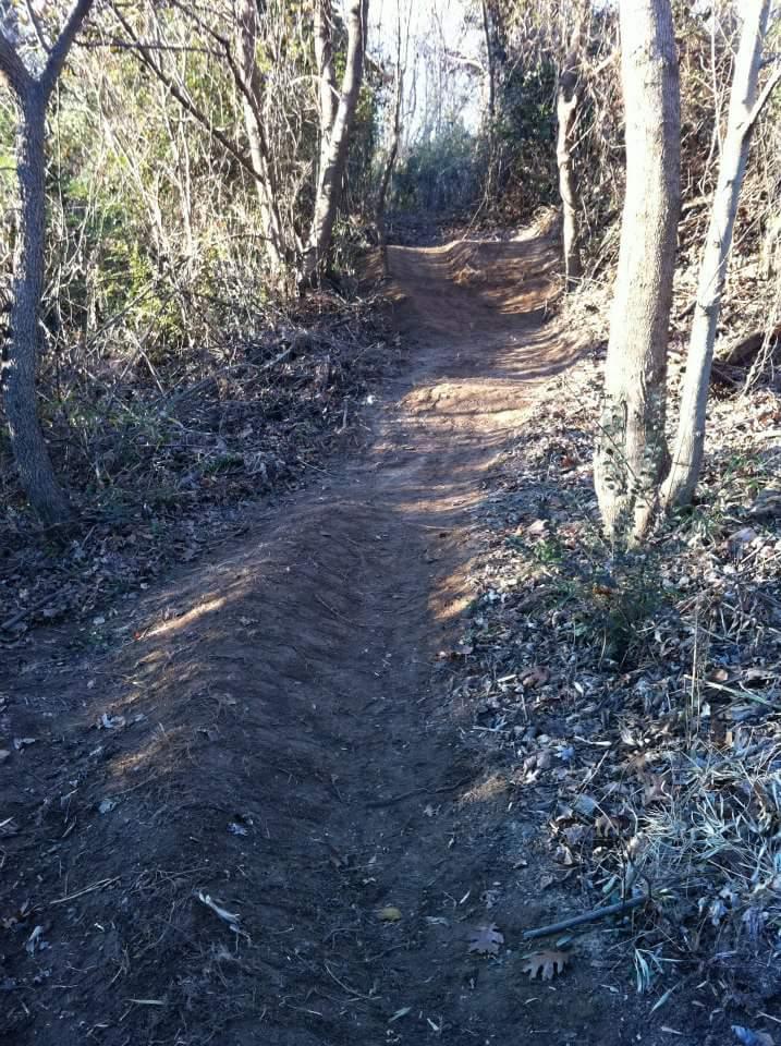 A winding dirt trail surrounded by trees and underbrush, with sunlight filtering through the branches. The path is uneven and shows signs of use, indicating it is likely a trail for hikers or cyclists. Low Hollow mountain bike trail.