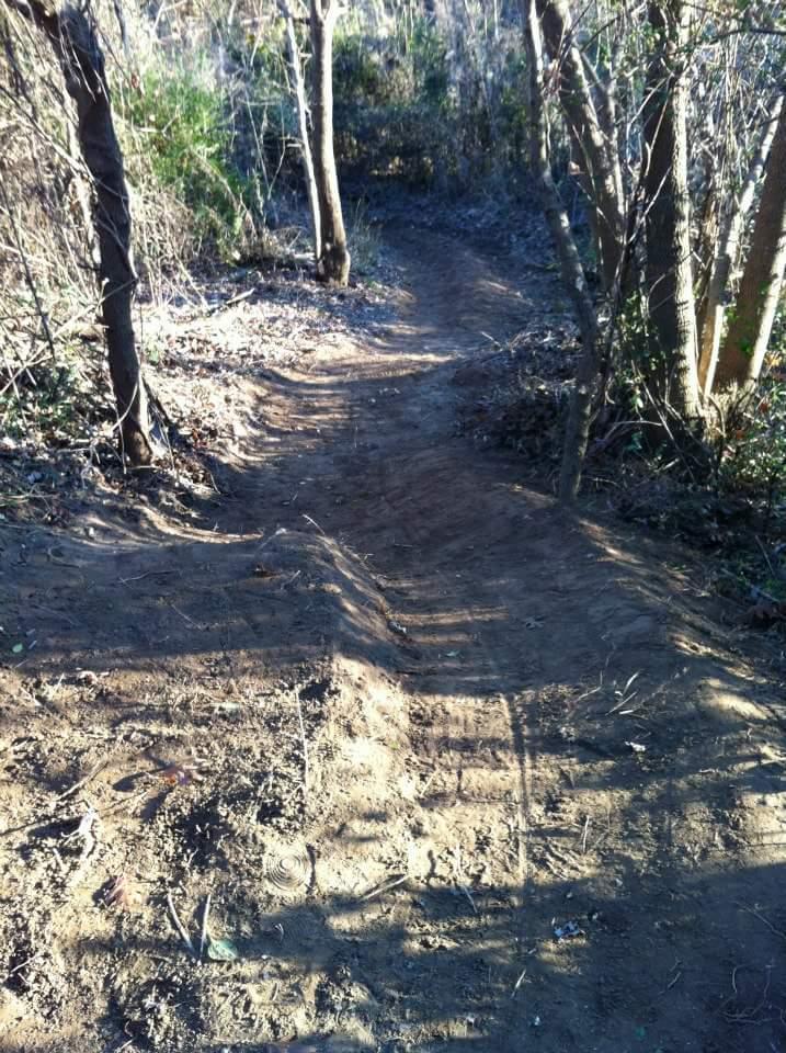 A narrow dirt trail winding through a wooded area, surrounded by trees and sparse vegetation. The trail appears well-worn with some exposed roots and uneven surfaces, leading into a dimly lit path that curves out of view. Low Hollow mountain bike trail.