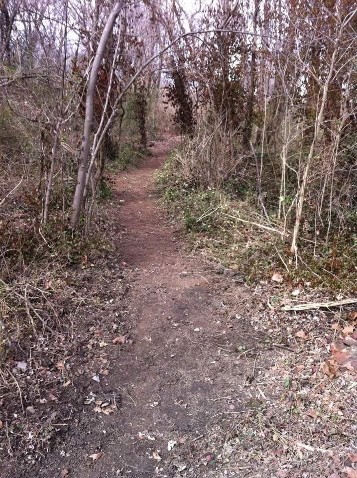 A narrow dirt path winding through a dense, overgrown area with trees and shrubs, some with dried leaves. The path is surrounded by vegetation on both sides, creating a natural tunnel effect. Low Hollow mountain bike trail.