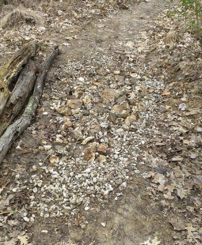 A rocky section of a dirt path surrounded by dry leaves and small branches. The pathway is uneven, covered with scattered stones and gravel, indicating potential maintenance or natural erosion. Low Hollow mountain bike trail.