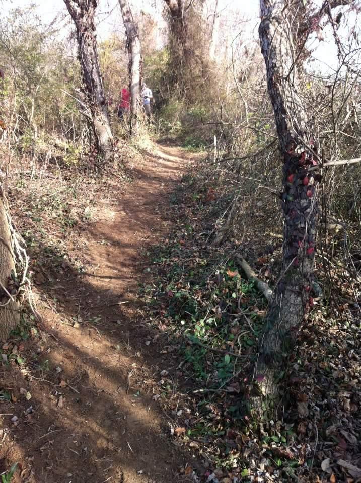 A narrow dirt path winding through a wooded area, flanked by several trees and underbrush. Two people can be seen in the background, partially obscured by the foliage. Sunlight filters through the trees, creating a dappled light effect on the ground. Low Hollow mountain bike trail.
