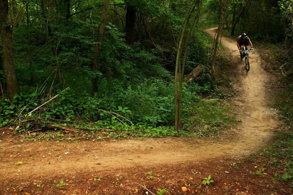 A mountain biker navigating a dirt trail through a dense forest, surrounded by green foliage and trees. The path curves gently to the right, showcasing a rural outdoor setting ideal for biking activities. Low Hollow mountain bike trail.