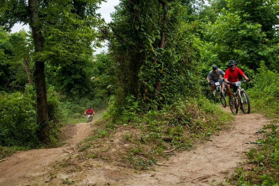 Three mountain bikers navigate a dirt trail through a lush, green forest. The path winds between tall trees and dense foliage, with one rider in a red shirt leading the group. The scene captures the excitement and adventure of outdoor cycling in a natural setting. Low Hollow mountain bike trail.