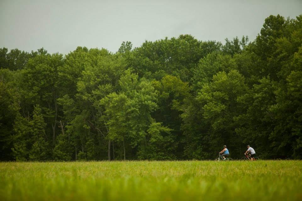 Two cyclists ride along a grassy field, with a dense line of trees in the background under a cloudy sky. Low Hollow mountain bike trail.