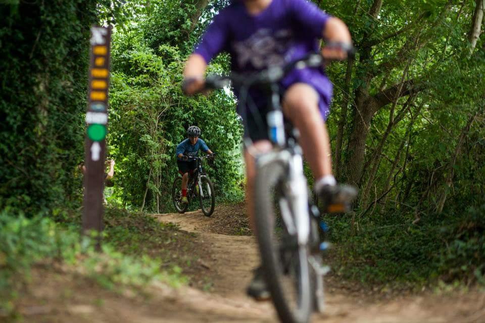 Two young cyclists riding on a dirt trail surrounded by lush greenery. One rider in a purple shirt is in the foreground, while another in a blue shirt is slightly out of focus in the background. A trail sign with multiple directional indicators is visible to the left. Low Hollow mountain bike trail.