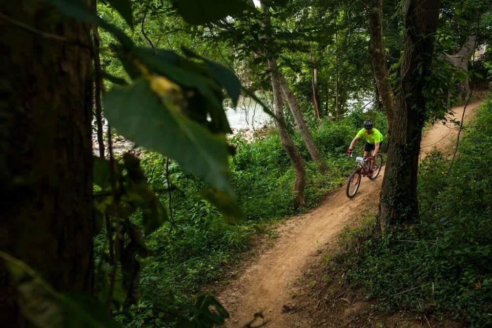 A cyclist in a bright yellow shirt rides a mountain bike along a dirt trail surrounded by lush green foliage and trees. The path curves gently, with a river visible in the background, creating a scenic outdoor environment. Low Hollow mountain bike trail.