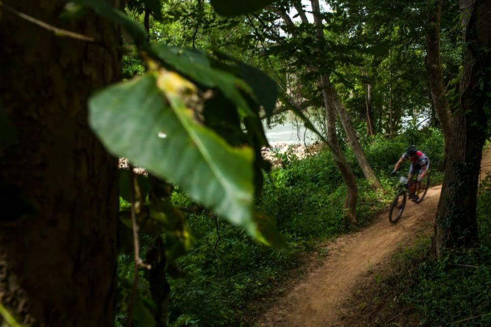 A mountain biker navigating a dirt trail surrounded by lush greenery and trees, with a river visible in the background. Low Hollow mountain bike trail.