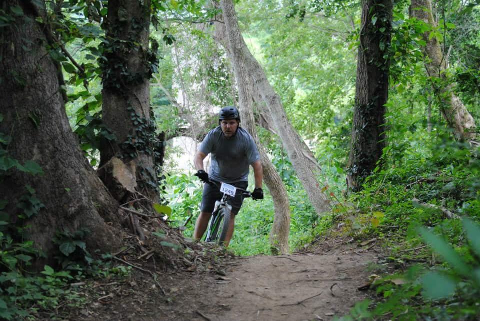 A mountain biker navigating a dirt trail through a lush, green forest. The cyclist, wearing a helmet and gray shirt, is focused on the path ahead, with tall trees and dense foliage surrounding the trail. A race number is visible on the biker's shirt. Low Hollow mountain bike trail.