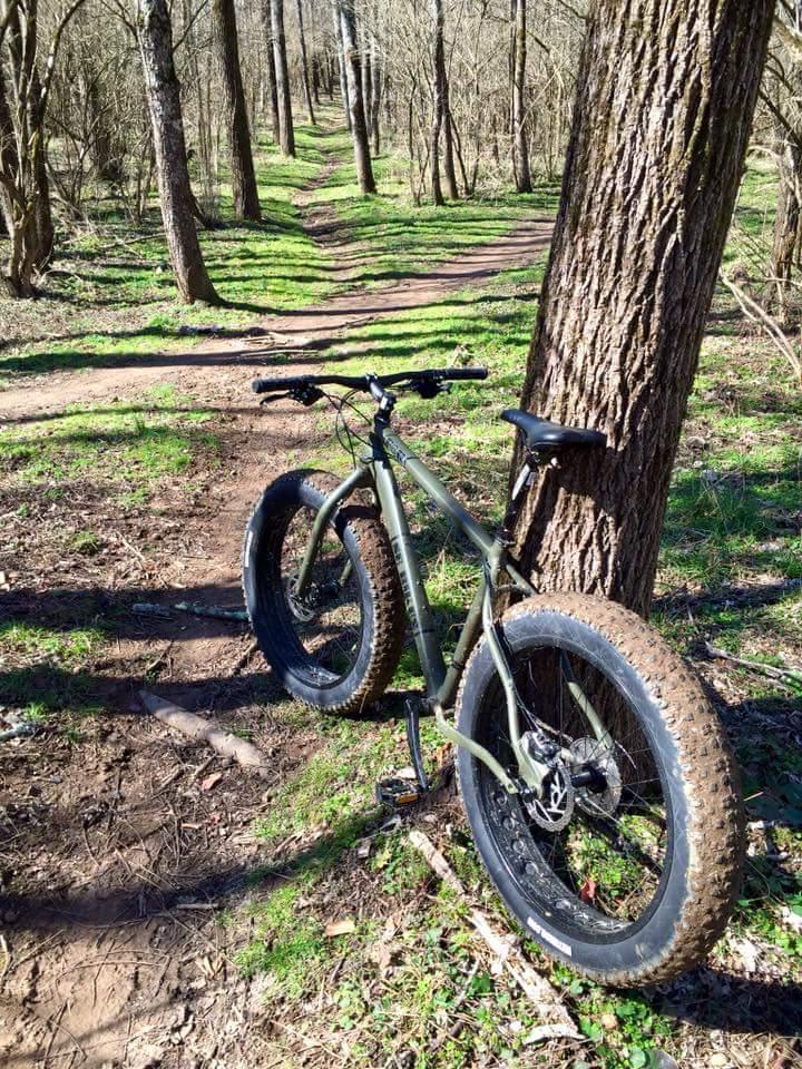 A green fat bike is leaning against a tree on a dirt trail surrounded by trees. The path, covered in green grass and scattered twigs, winds through the forest. The sun shines brightly, illuminating the peaceful outdoor setting. Veterans Park mountain bike trail.