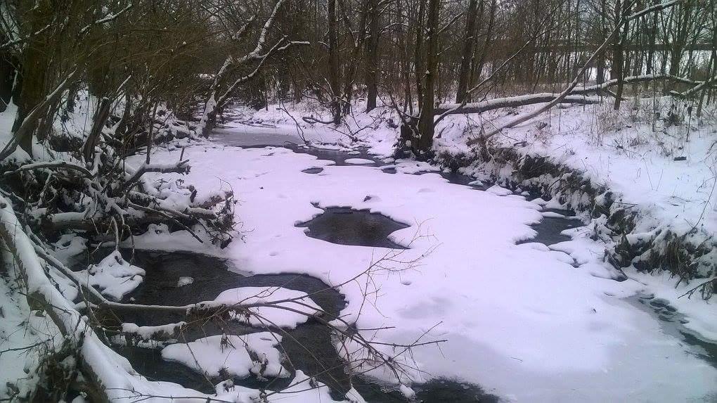 A snowy landscape featuring a partially frozen creek winding through a forested area, with trees lining the banks and patches of snow covering the ground and water. Veterans Park mountain bike trail.
