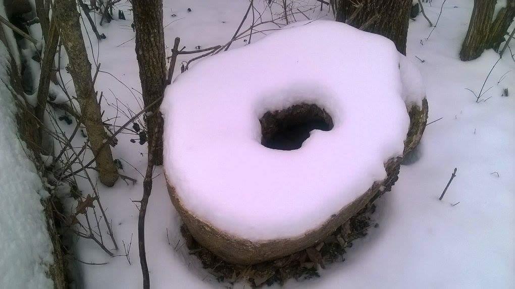  Veterans Park mountain bike trail.