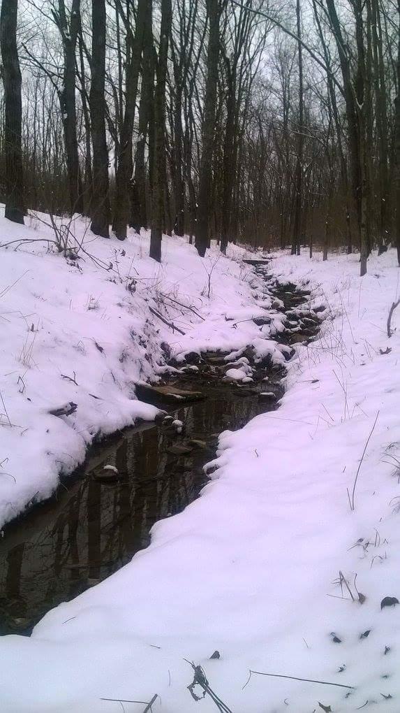 A tranquil winter scene featuring a narrow creek winding through a snow-covered forest. Tall, bare trees line the banks, with thick layers of snow blanketing the ground and partially lining the water's edge. The creek's dark, reflective surface contrasts with the bright white snow, creating a serene natural setting. Veterans Park mountain bike trail.