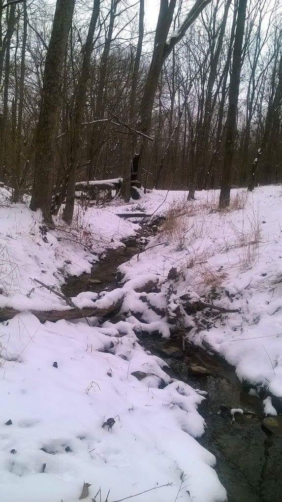 A winter landscape featuring a small stream running through a snowy forest. Bare trees line the banks, and patches of grass are visible under the snow. The scene conveys a serene, tranquil atmosphere, typical of a chilly winter day. Veterans Park mountain bike trail.