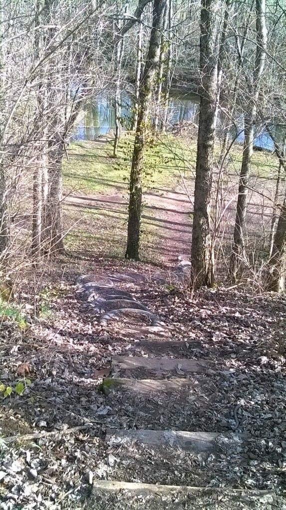 A winding dirt path leads down a set of wooden steps surrounded by bare trees, with scattered leaves covering the ground. In the background, a tranquil body of water is partially visible, set against a grassy area. The scene captures a serene moment in nature, showcasing a tranquil forest landscape. Veterans Park mountain bike trail.