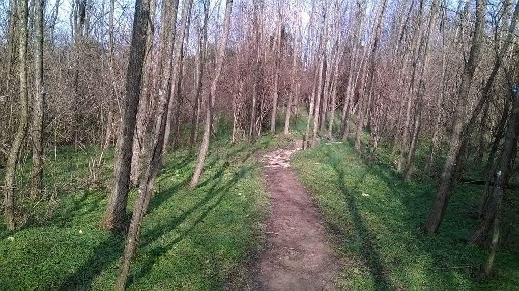 A narrow dirt path winding through a wooded area, lined with bare trees and patches of green grass. The trees create long shadows across the path, suggesting early spring or late winter. The scene conveys a sense of tranquility and natural beauty. Veterans Park mountain bike trail.