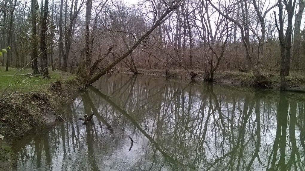 A tranquil waterway surrounded by barren trees, with their reflections visible in the calm surface of the water. The setting suggests a peaceful, early spring day, as the branches are bare but hints of greenery can be seen in the grassy area nearby. Veterans Park mountain bike trail.