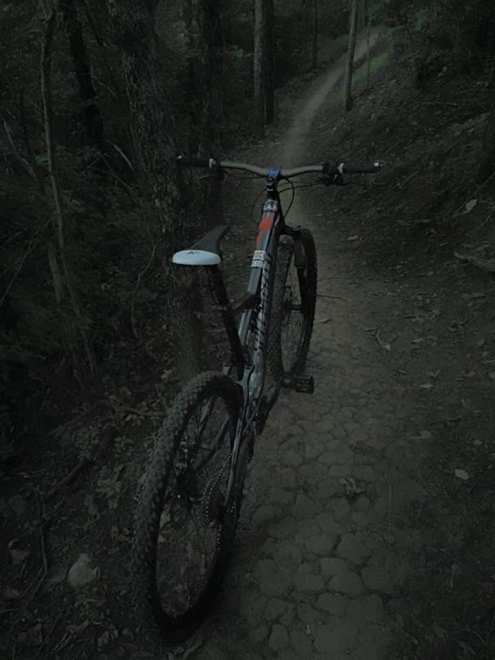 A mountain bike resting on a dirt trail surrounded by trees in a dimly lit forest. The path winds slightly in the background, showcasing the rugged terrain. Veterans Park mountain bike trail.