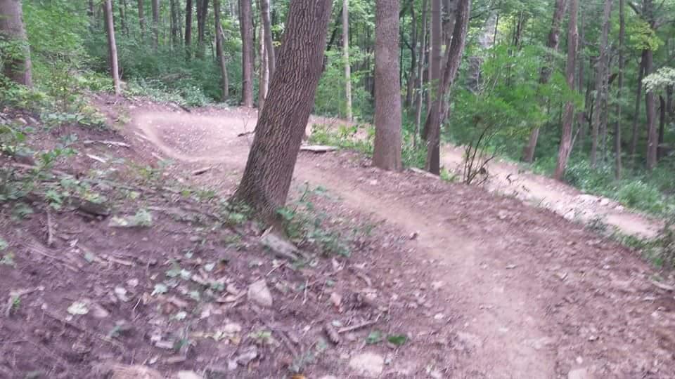 A winding dirt trail through a wooded area, surrounded by tall trees and lush greenery. The path curves gently to the right, indicating a descent into the forest. Sunlight filters through the leaves, creating a serene and natural atmosphere. Devou Park mountain bike trail.