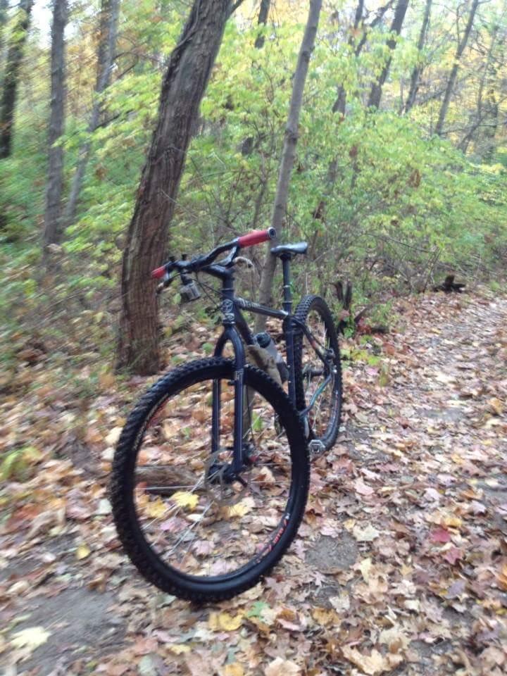 A mountain bike leaning against a tree on a dirt trail covered with autumn leaves, surrounded by green and yellow foliage. Caesar Creek mountain bike trail.