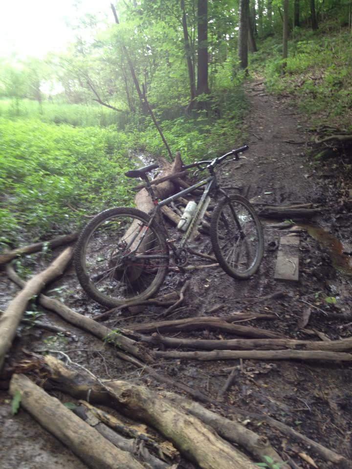 Mountain bike resting among muddy terrain and fallen logs in a lush green forest. MoMBA @ Huffman MetroPark mountain bike trail.