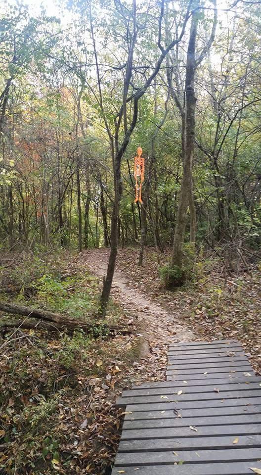 A forest path winding through trees with fallen leaves, featuring a small wooden bridge. Hanging in the trees is an orange skeleton decoration, adding a playful Halloween touch to the scene. MoMBA @ Huffman MetroPark mountain bike trail.
