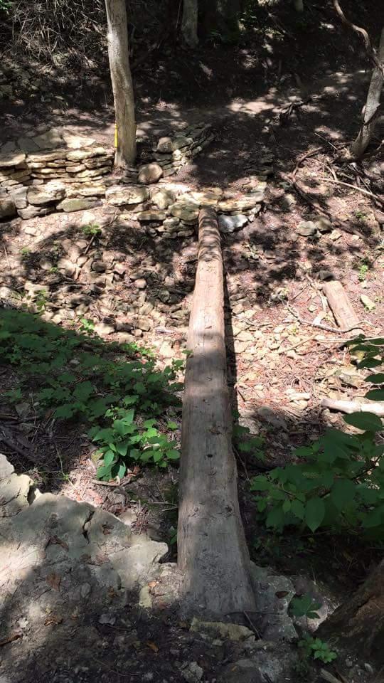 A wooden log bridge spans a rocky area in a shaded, wooded environment. Surrounding the bridge, there is a mix of lush green vegetation and exposed stones, creating a natural path. Sunlight filters through the trees, casting dappled shadows on the ground. MoMBA @ Huffman MetroPark mountain bike trail.