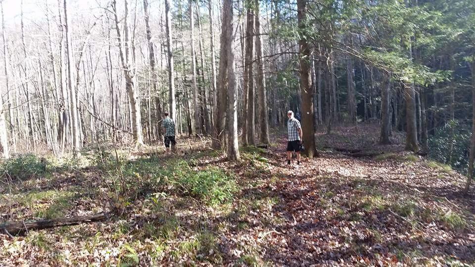 Two individuals walking on a trail in a wooded area. The scene features tall trees with bare branches, indicating a late winter or early spring setting, and a forest floor covered with leaves and small shrubs. The sunlight filters through the trees, creating a bright and natural atmosphere. Big South Fork mountain bike trail.
