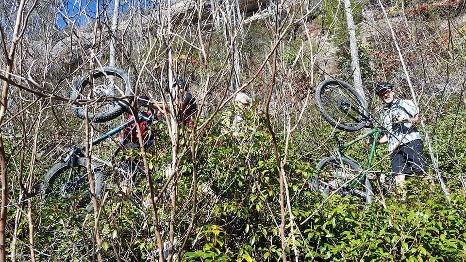 A group of three mountain bikers navigating through thick vegetation on a hillside. Two of the bikers are partially obscured by bushes, while one holds a bike above their head, showing the rear wheel. Bright blue skies and trees are visible in the background, suggesting a sunny outdoor environment. Big South Fork mountain bike trail.