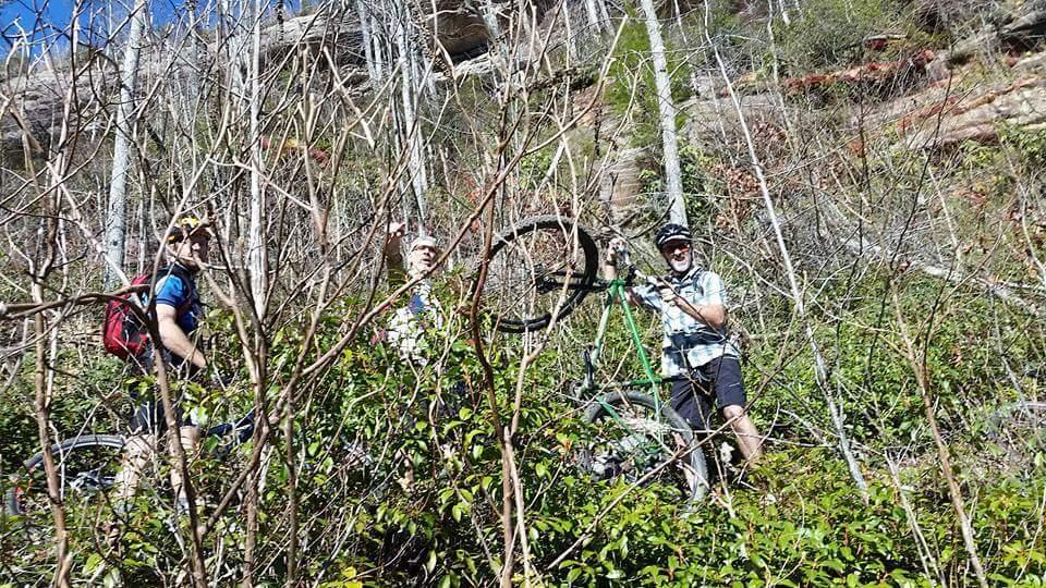 Three mountain bikers are standing among dense greenery and sparse trees on a trail. One cyclist is holding a bike with a raised tire, while the others are looking at the camera, smiling. The background features rocky terrain and bright blue skies. Big South Fork mountain bike trail.