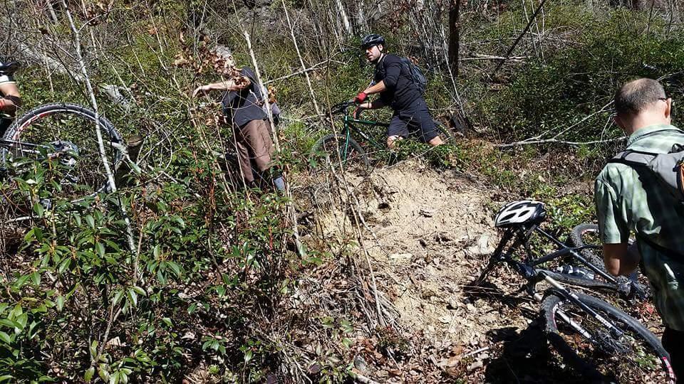A group of mountain bikers navigating a rough, overgrown trail with their bicycles in a wooded area. Some riders are pushing their bikes through dense vegetation, while one cyclist appears to be climbing up a small incline. The scene captures a moment of outdoor adventure and the challenges of biking on rugged terrain. Big South Fork mountain bike trail.