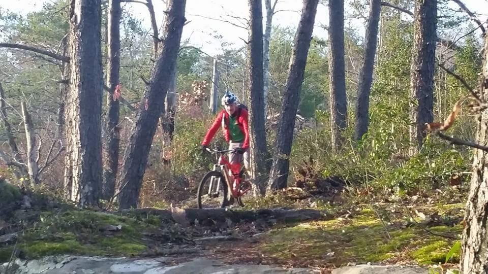 A mountain biker navigating a forest trail, surrounded by tall pine trees. The rider is wearing a red jacket and a helmet, focused on the rocky path ahead. Sunlight filters through the trees, illuminating the scene. Big South Fork mountain bike trail.