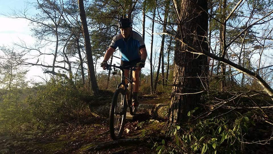 A cyclist navigating a rocky trail through a forested area, wearing a helmet and a blue shirt. The setting features tall trees and natural vegetation, with soft sunlight filtering through the leaves. Big South Fork mountain bike trail.