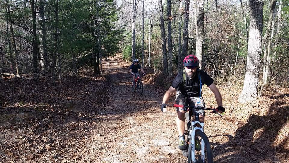 Two mountain bikers riding on a dirt trail surrounded by trees. The path is lined with fallen leaves, and the cyclists are wearing helmets and biking gear. One rider is in the foreground, while the other is further back on the trail. The scene captures a sunny day in a natural setting, highlighting outdoor activity. Big South Fork mountain bike trail.