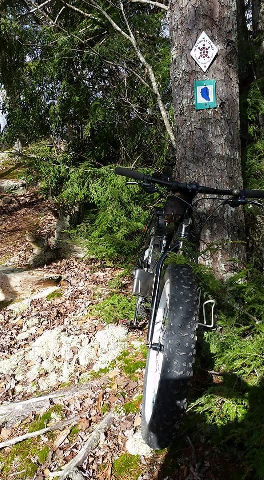A fat tire bike leaning against a tree in a wooded area. The tree has two trail markers attached: a diamond-shaped sign above and a blue square sign below. Surrounding the bike are fallen leaves and moss, with sunlight filtering through the trees. Big South Fork mountain bike trail.
