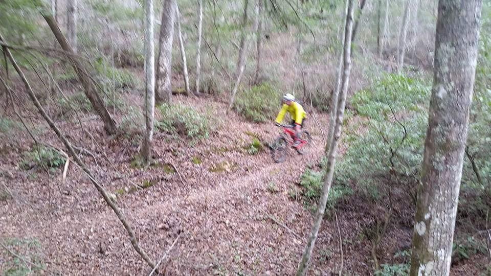 A mountain biker in a bright yellow jacket navigates a winding trail through a dense forest. The ground is covered in fallen leaves, and surrounding trees create a natural, wooded environment. Big South Fork mountain bike trail.
