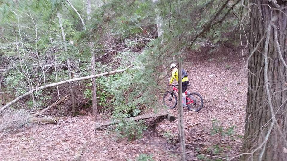 A person riding a mountain bike over a wooden bridge in a forested area, surrounded by trees and fallen leaves. Big South Fork mountain bike trail.