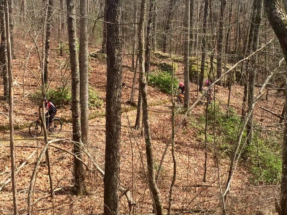 A forested trail with several mountain bikers riding along a path surrounded by trees and fallen leaves. Big South Fork mountain bike trail.
