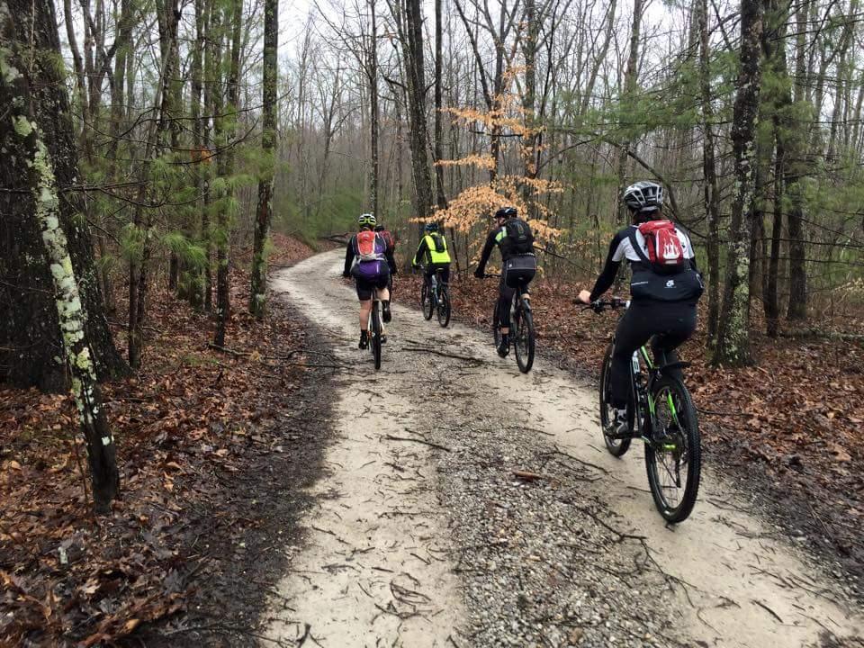 A group of four cyclists riding on a gravel path through a damp, wooded area with bare trees and some pine trees. The path winds ahead, and the scene conveys a sense of adventure in a natural setting. Big South Fork mountain bike trail.