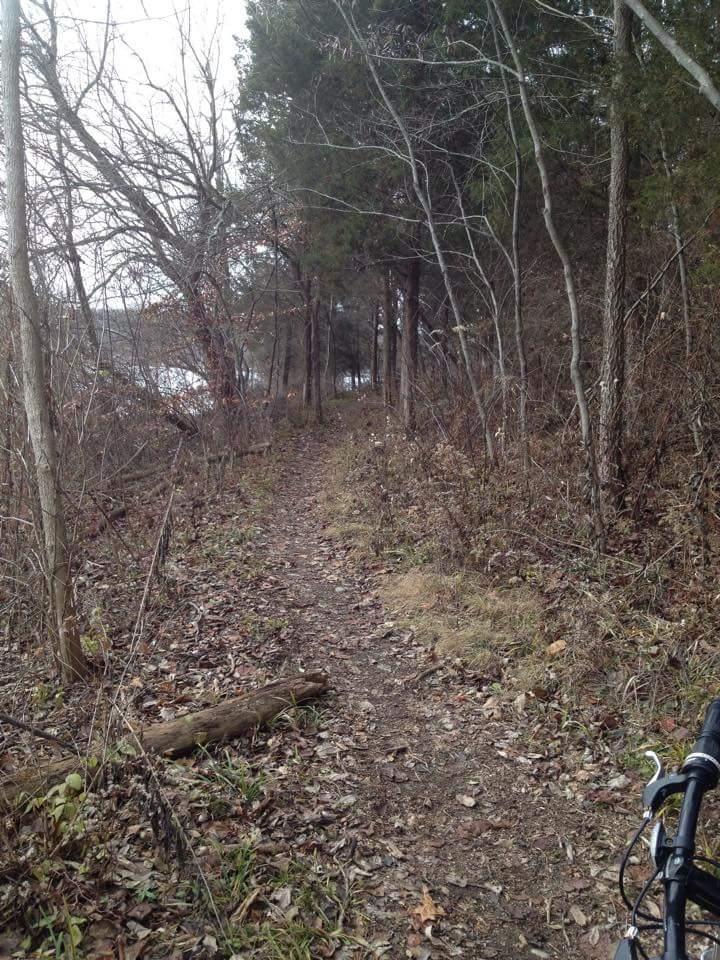 A dirt bike trail winding through a wooded area, dotted with fallen leaves and surrounded by sparse trees. Part of a bicycle is visible on the right side of the image, suggesting an outdoor adventure. In the background, glimpses of a body of water can be seen through the trees. The scene conveys a tranquil, natural environment. Hueston Woods State Park mountain bike trail.