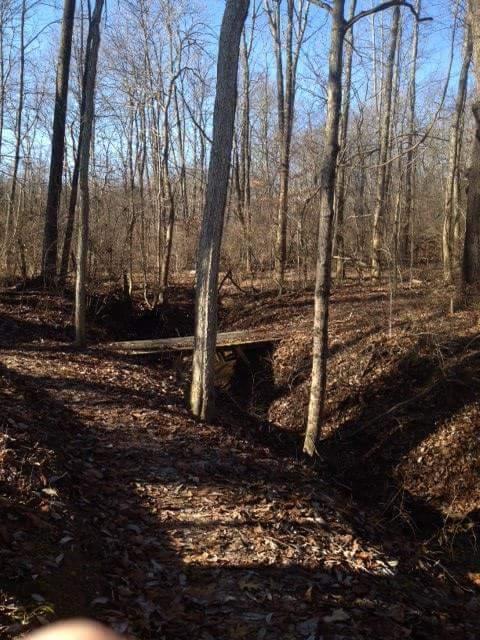 A serene forest scene featuring bare trees and a wooden bridge crossing a small ravine, surrounded by fallen leaves. Bright blue sky is visible above, indicating a clear day. Hueston Woods State Park mountain bike trail.