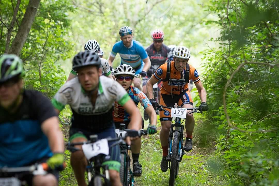 A group of mountain bikers riding on a narrow, wooded trail. The cyclists are focused and wearing helmets, with several sporting race numbers on their bikes. The lush greenery surrounding the path adds to the natural setting of the race. Hueston Woods State Park mountain bike trail.