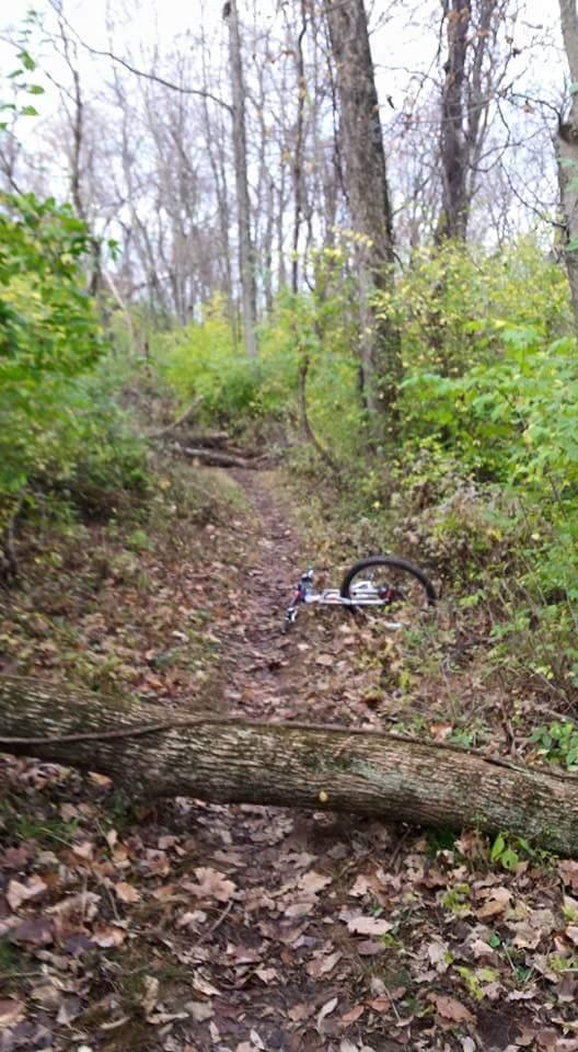 A narrow dirt trail winding through a wooded area, surrounded by green shrubs and fallen leaves. In the foreground, a fallen tree trunk crosses the path, and a bicycle is lying on its side near the edge of the trail. The trees are sparse, indicating late autumn or early winter. Devou Park mountain bike trail.
