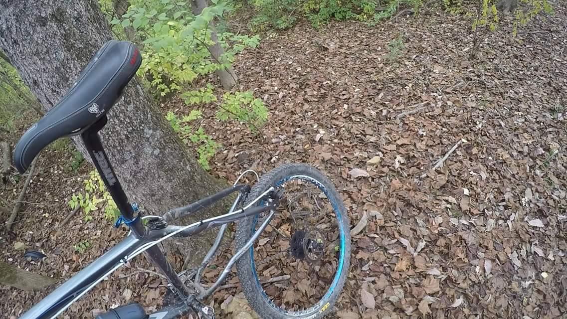 A close-up view of a mountain bike leaning against a tree in a wooded area, surrounded by fallen leaves. The bike features a black saddle, silver frame, and a blue-highlighted tire. Green foliage is visible in the background, suggesting a vibrant autumn scene. Devou Park mountain bike trail.