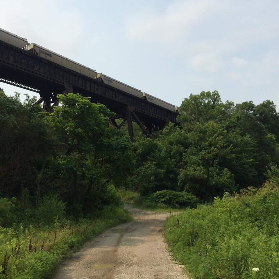 A railway trestle elevated above a dense, green landscape, with a gravel path winding through the vegetation. Train cars are visible on the trestle against a backdrop of a cloudy sky. Devou Park mountain bike trail.