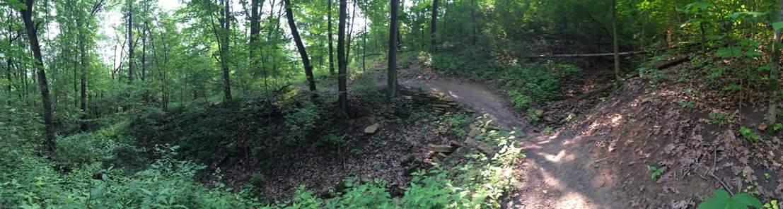 A panoramic view of a tranquil forest trail winding through lush green trees and vegetation, with sunlight filtering through the leaves and a path curving to the right. The ground is covered with fallen leaves and small rocks, creating a natural and serene hiking environment. Devou Park mountain bike trail.