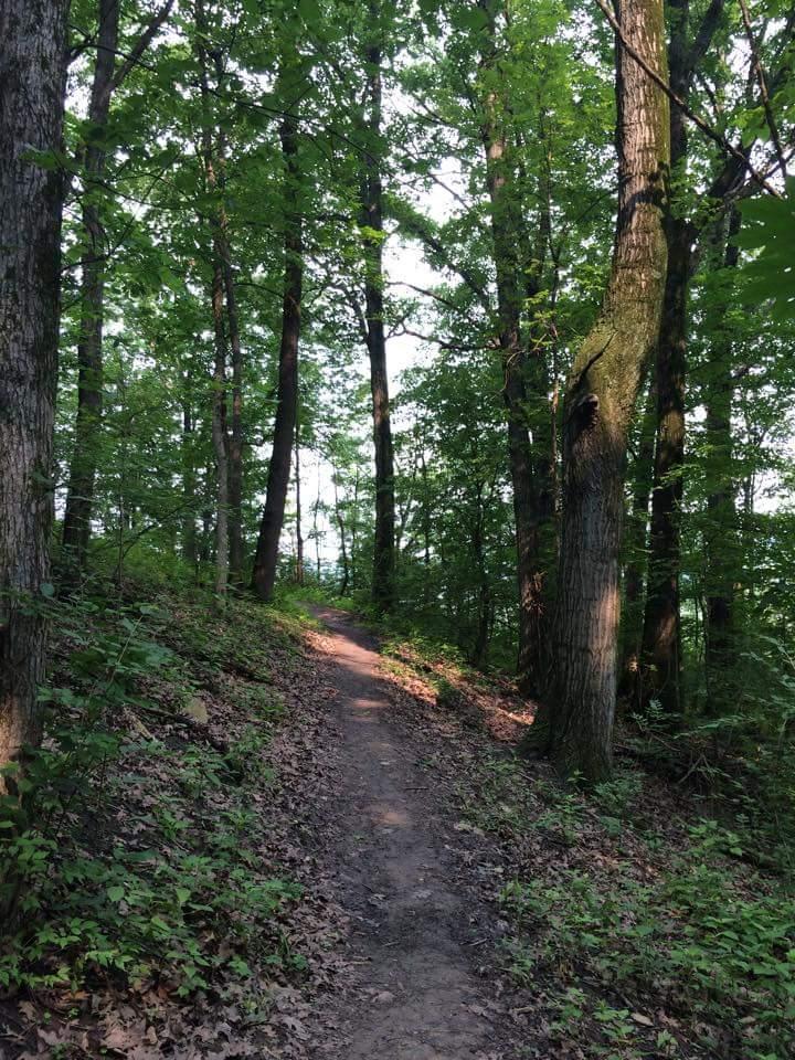 A winding dirt path leads through a lush green forest, surrounded by tall trees with dense foliage. Sunlight filters through the leaves, creating a dappled light effect on the ground. The scene conveys a peaceful and natural outdoor atmosphere. Devou Park mountain bike trail.