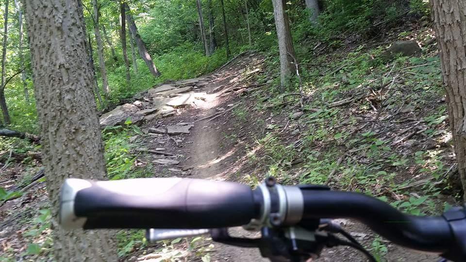 A view of a mountain biking trail through a forest, showing a close-up of a bicycle handlebar and path ahead, lined with trees and scattered rocks. Devou Park mountain bike trail.