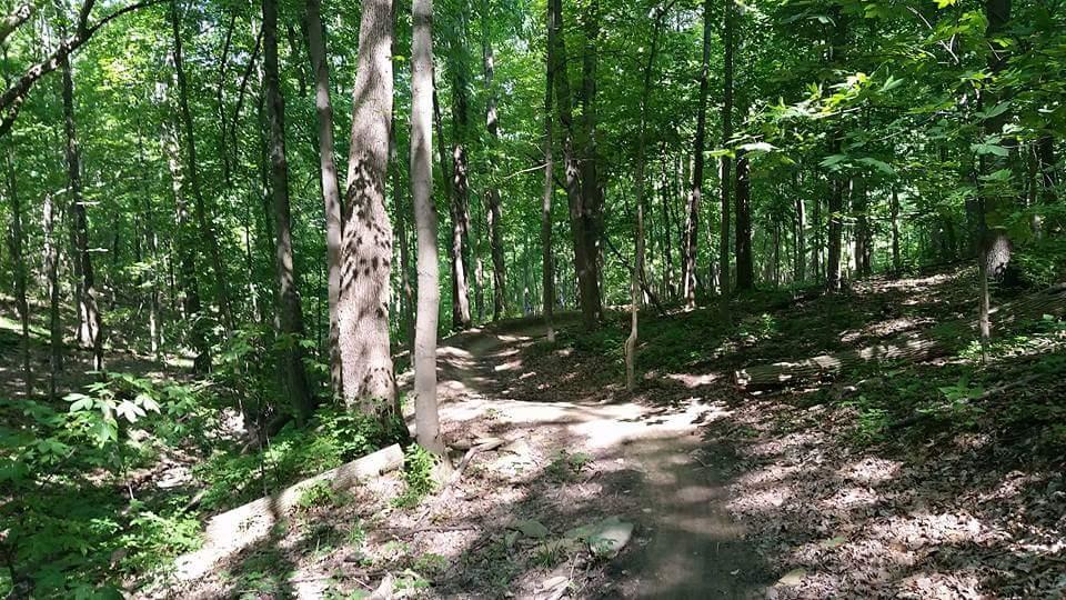 A winding dirt path through a lush, green forest, surrounded by tall trees and dappled sunlight filtering through the leaves. The terrain is slightly uneven, with patches of leaves and rocks visible along the trail. Devou Park mountain bike trail.